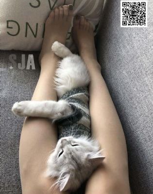 心寒