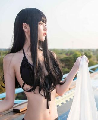 缉枪行动