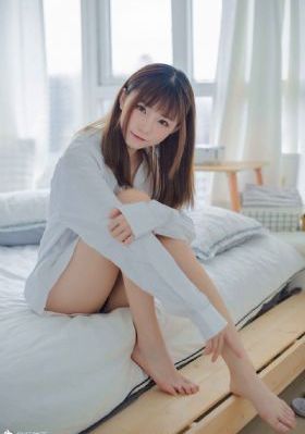 少年讼师纪晓岚