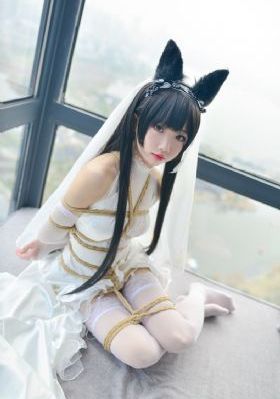 网聘女伴