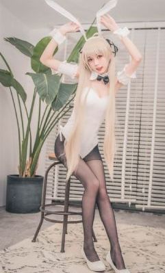 鲨鱼：起点